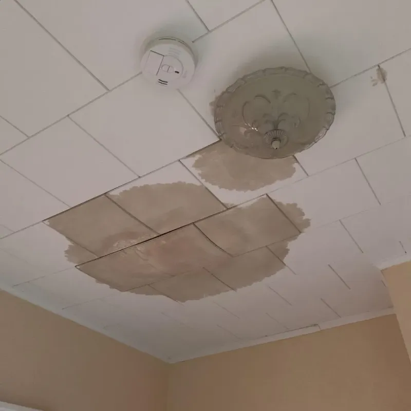 Ceiling Water Damage Repair in Alleghany County, NC