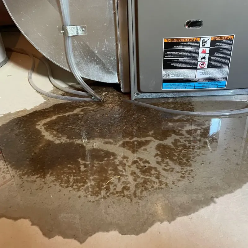 Pipe Burst and Leak Restoration in Alleghany County, NC