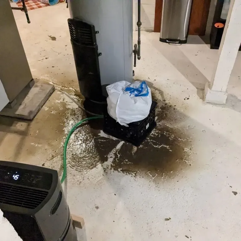 Sewage Backup Cleanup Service in Alleghany County, NC